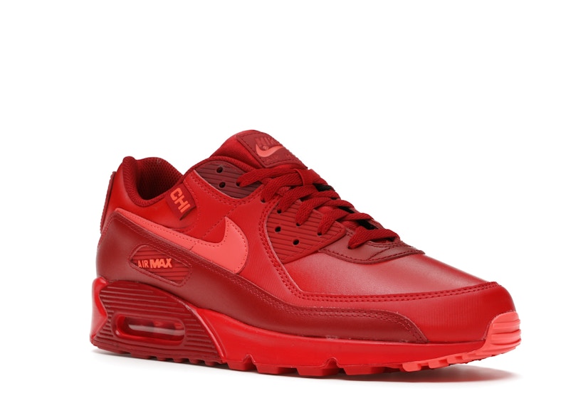 Nike Air Max 90 City Special Chicago